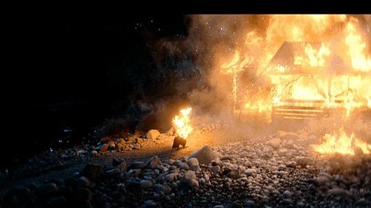 最近网飞日剧出了个《武士生死斗》。改编自人气漫画，冈田准一既主演又当动作指导。成