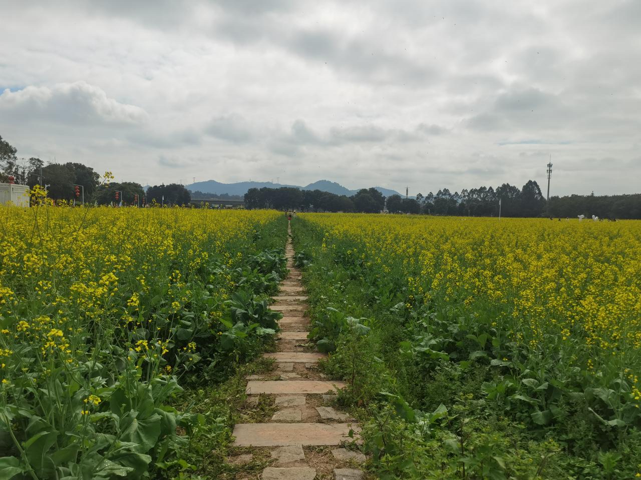 乡镇小公务员好不好干？早上我妈打电话给我，问我在老家有沒有当官的同学。我很