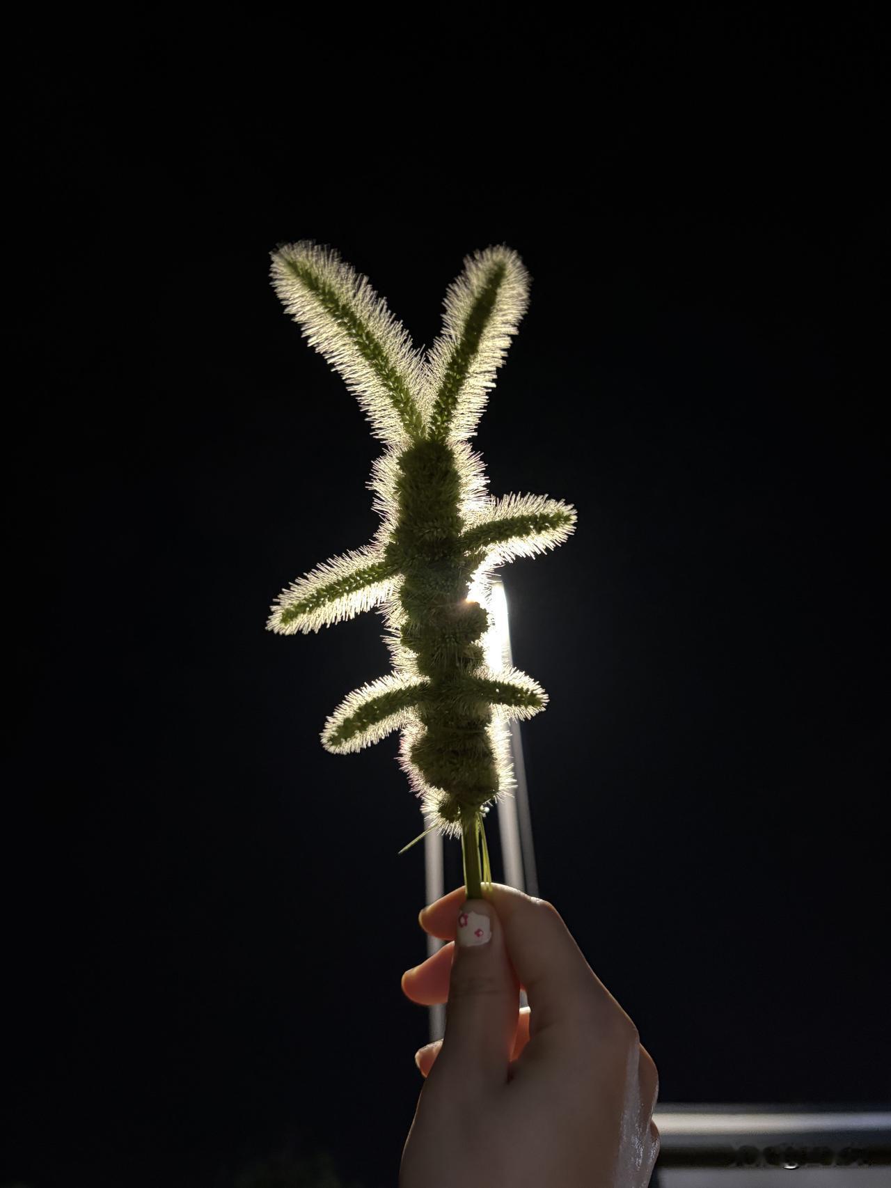 不管和谁相处，都必须牢记这二十条忠告（完整版）第一、不要跟好朋友一起做生意，