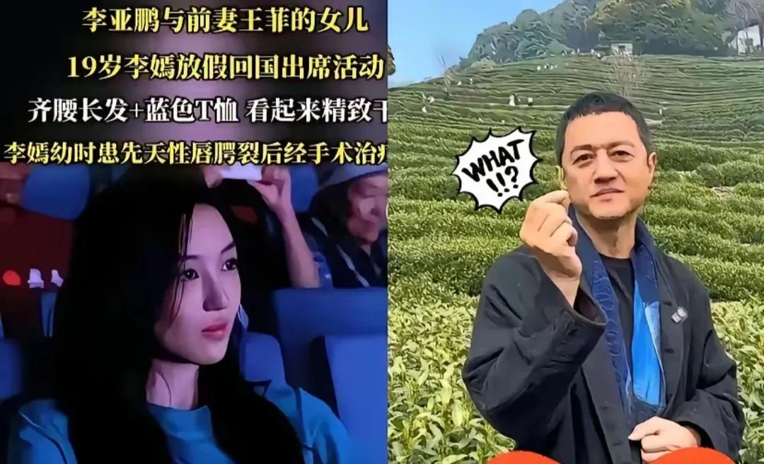 李嫣为父亲李亚鹏发声：我欠他的，不是他欠我的光去美国手术就花了70多万，后续两