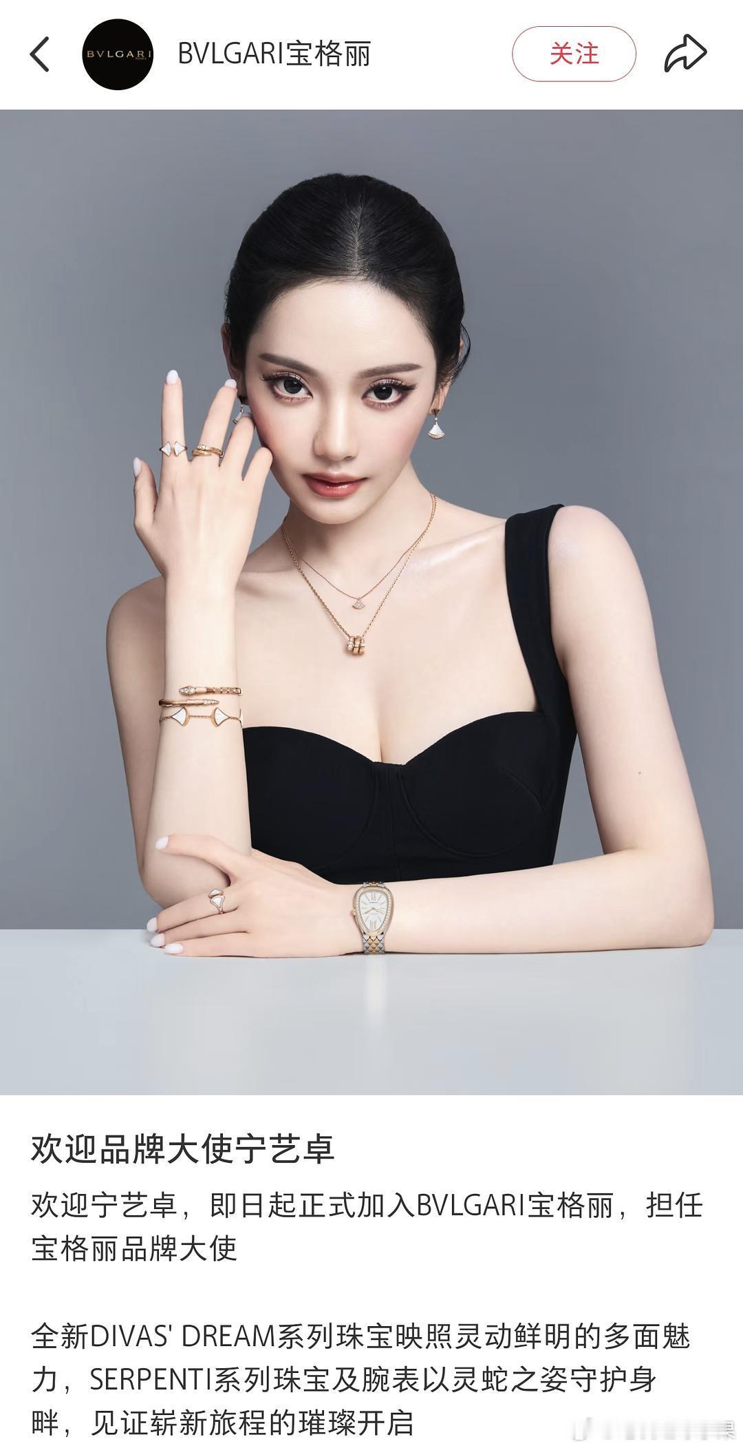宁艺卓宝格丽品牌大使与张元英同升咖位目前柳智敏合作状态待定宝格丽宁艺卓张