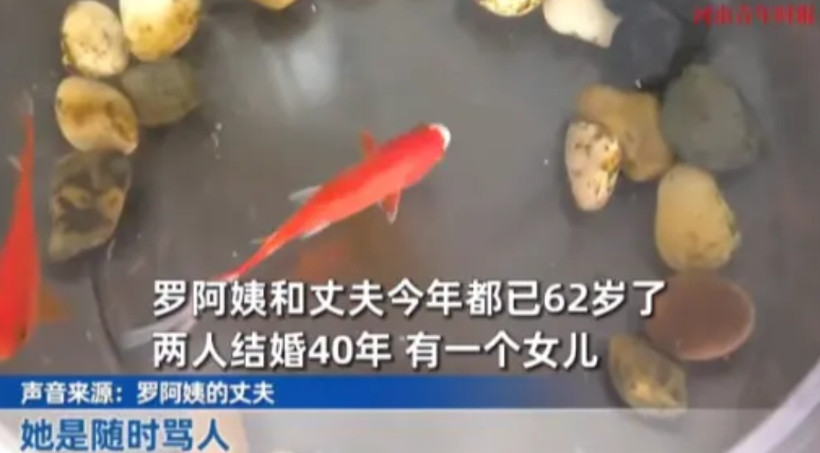 “这下后悔了吧！”重庆，62岁罗阿姨当众骂丈夫老周“一辈子没出息”，老周突然暴起