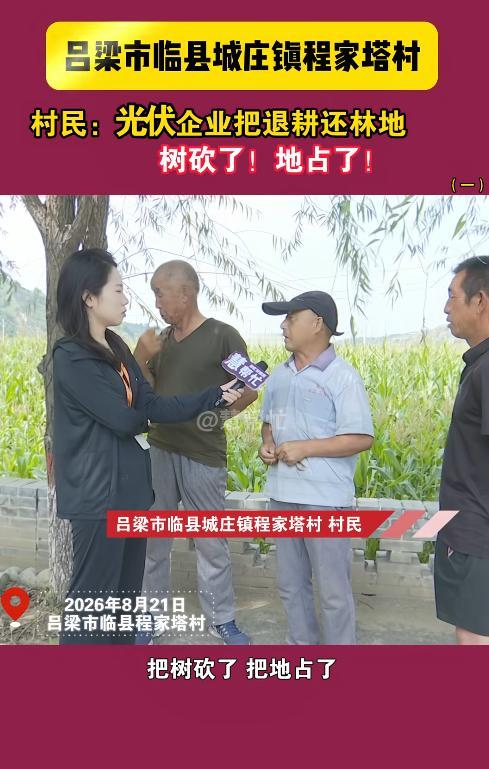 必须严惩！山西吕梁，村民们十几年辛辛苦苦守出来的退耕还林林地，一夜之间树被砍光、