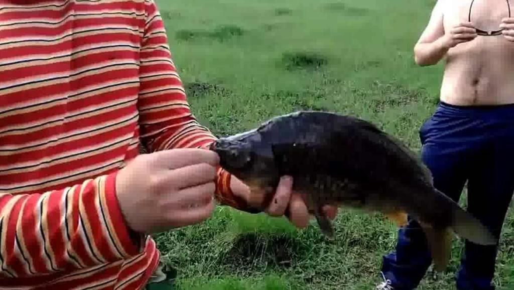 7730672844116167976.jpg?id=0