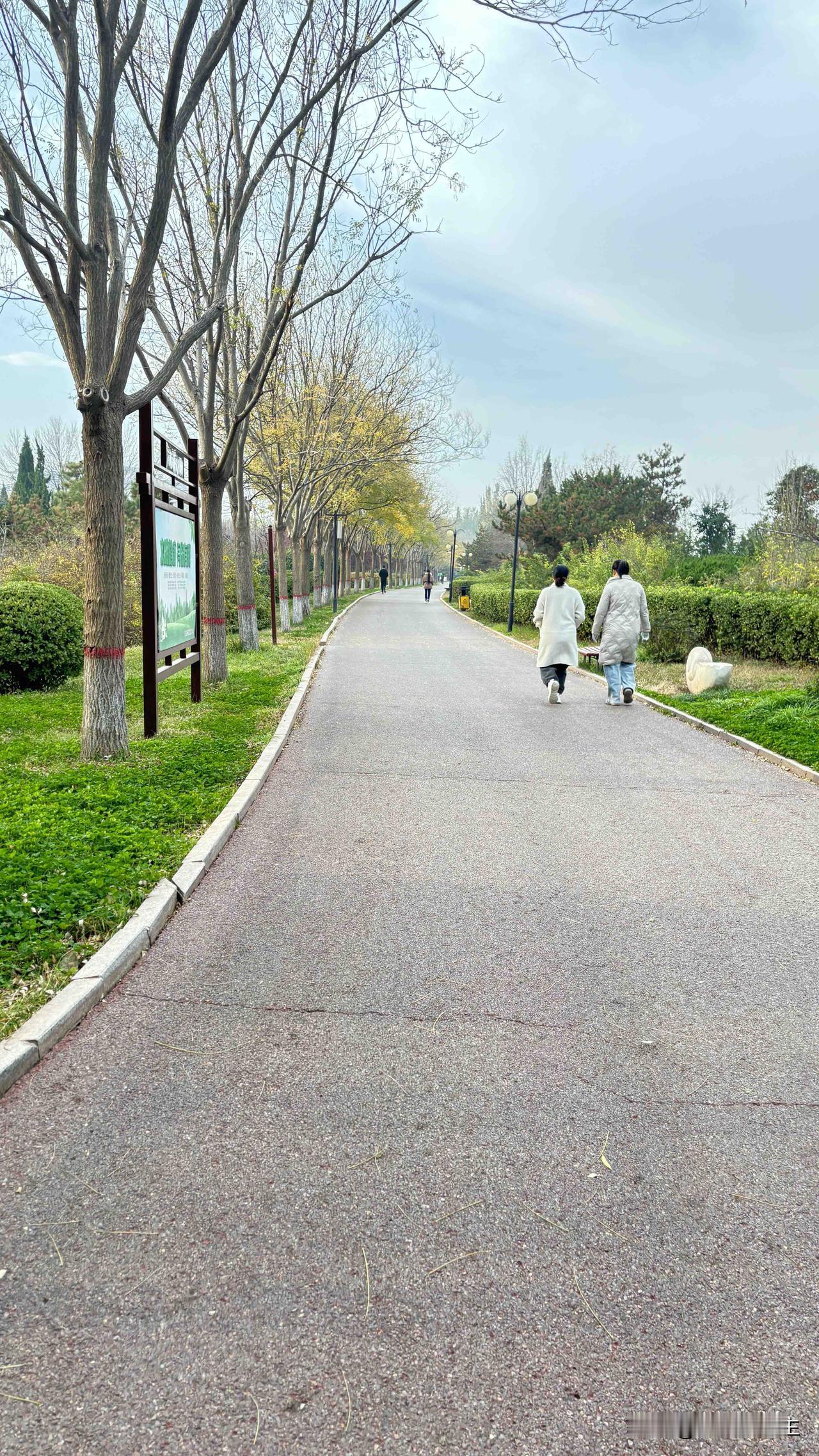 送完娃溜达到公园啦，这初冬的路看着真舒服~树叶子半黄半落的，风一吹凉丝丝但不冻人