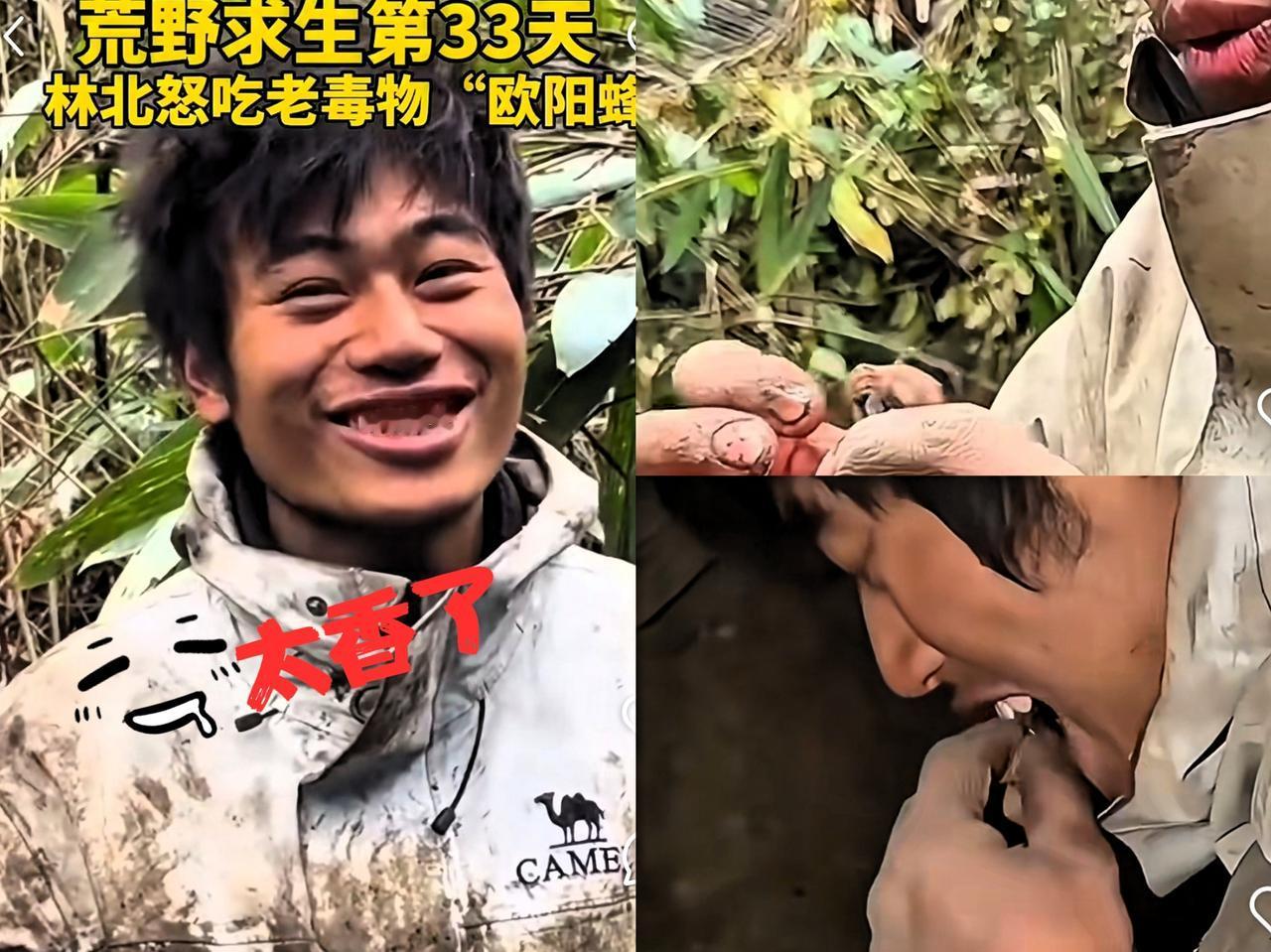 荒野戏精林北：“放生”=进我嘴！七星山求生赛第33天，“深情哥”彻底黑化：抓小