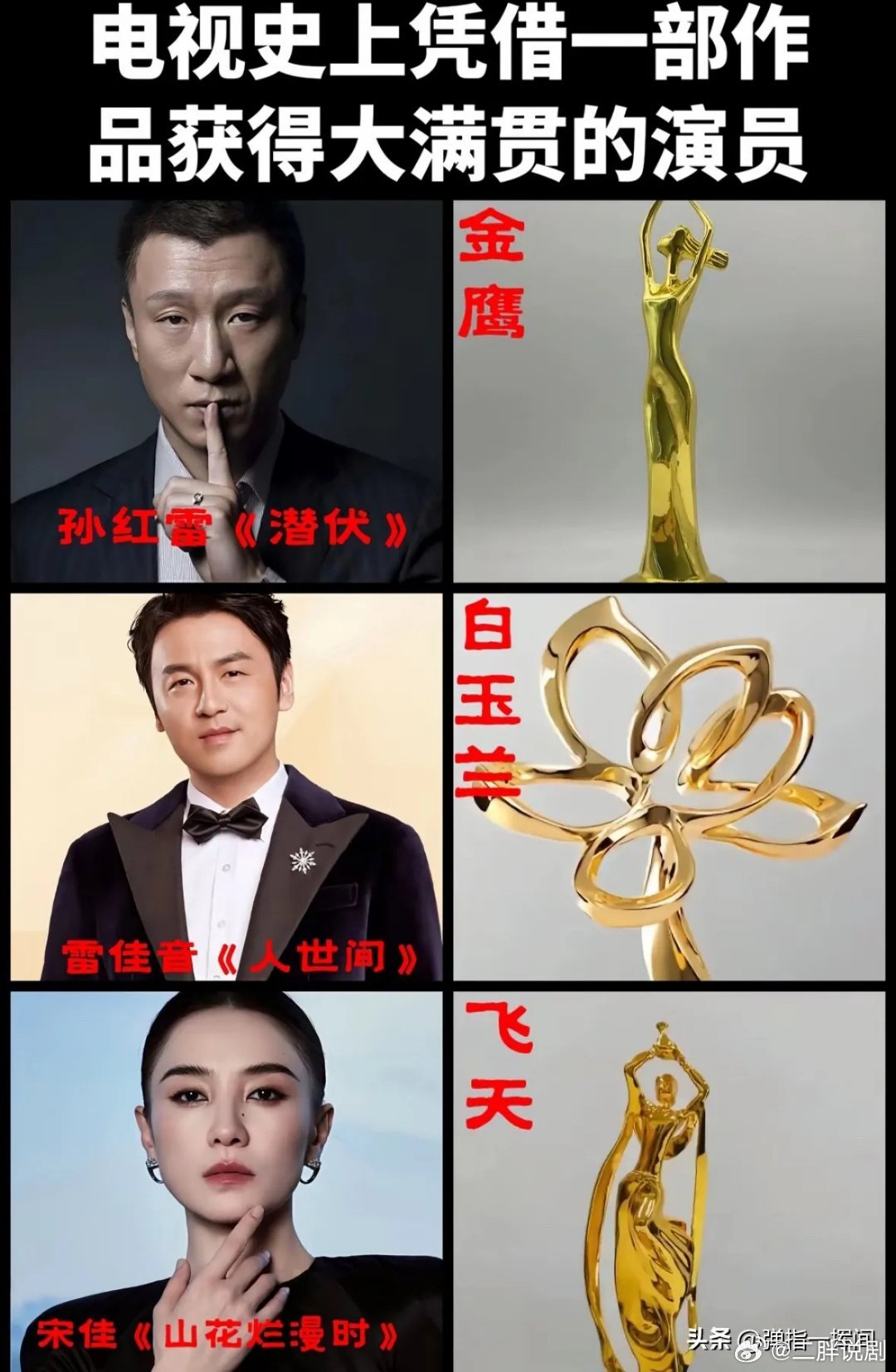 内娱仅3位“一串三”演员凭一部剧拿下三大视帝视后大满贯他们是雷•佳•音东北三人组雷——孙红雷《潜伏》