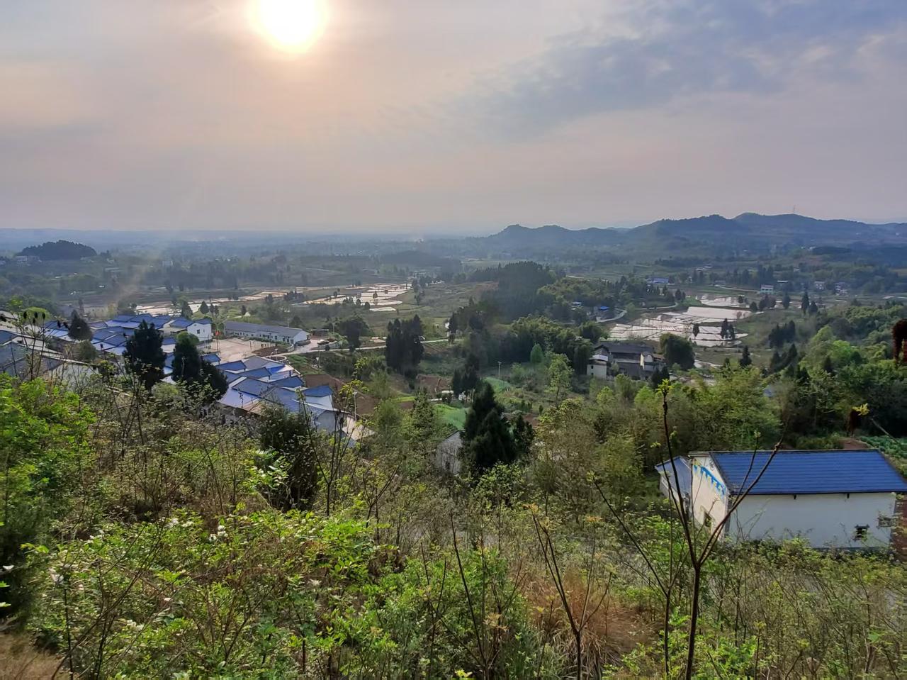民法典新规落地！2026物业新规严查，业主权益明确自民法典施行以来，小区物业