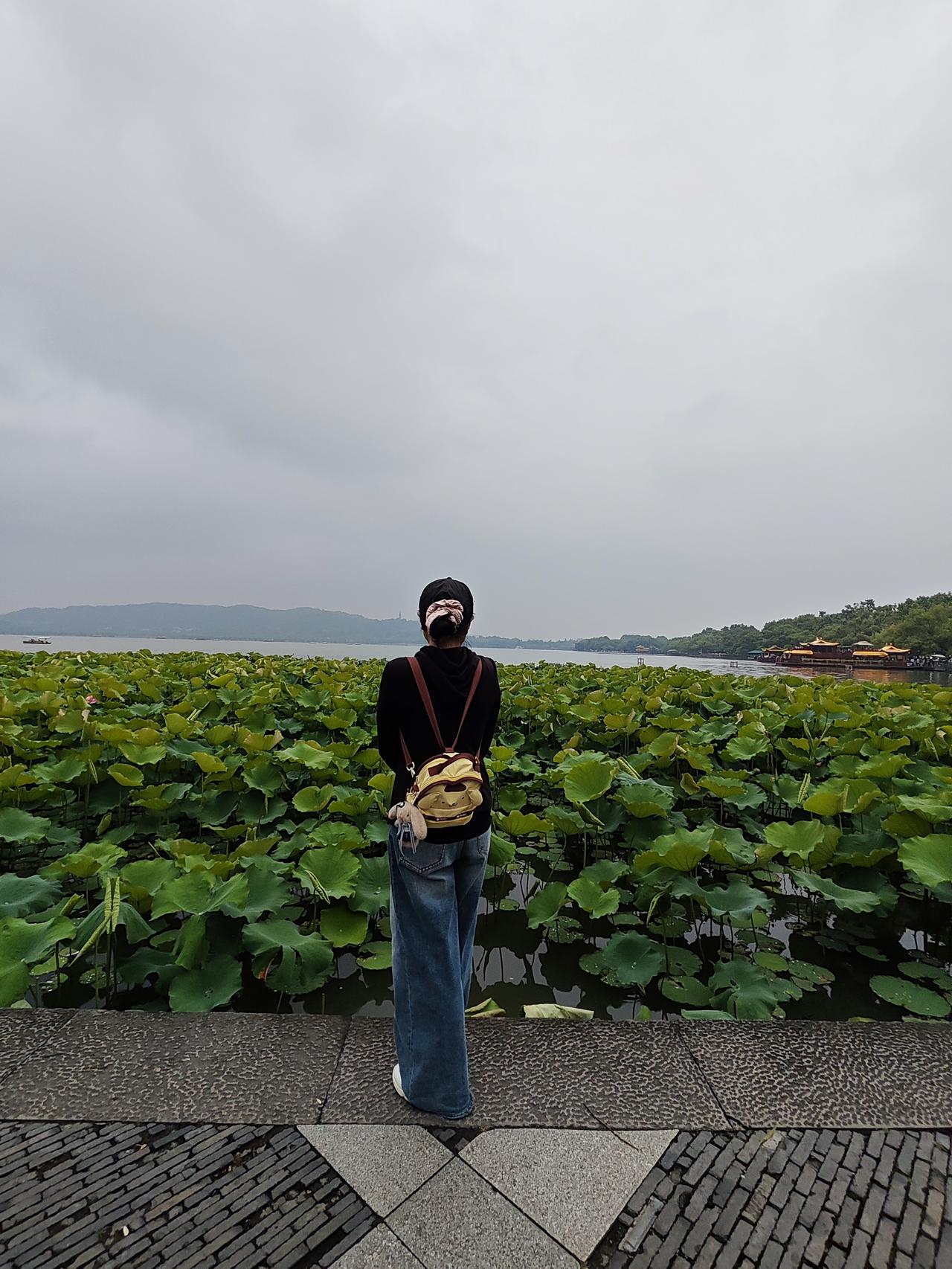 我的今日状态：😁轻松愉快我这里的天气：☀️晴天在西湖游玩时，突然看到有个