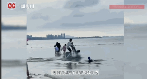 “必须严惩！”6月29日，山东烟台，一男孩在路上扫了一辆共享电动车，谁知为了好玩