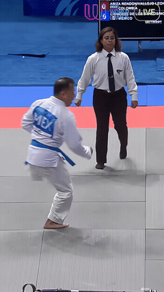 以吾之长攻汝之短