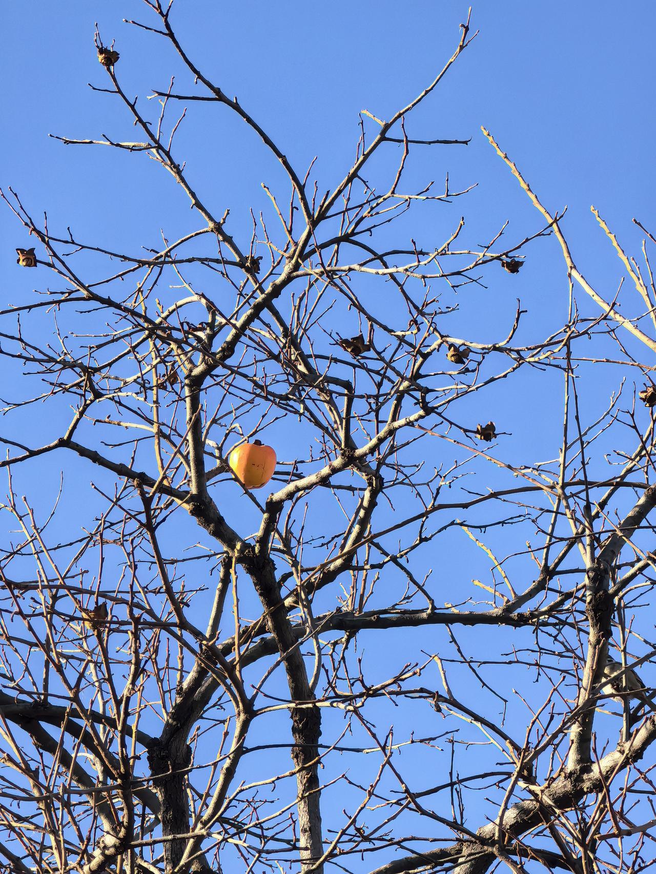 人民币，今年底前能“破七”吗？12月16日，在岸人民币兑美元（CNY/USD