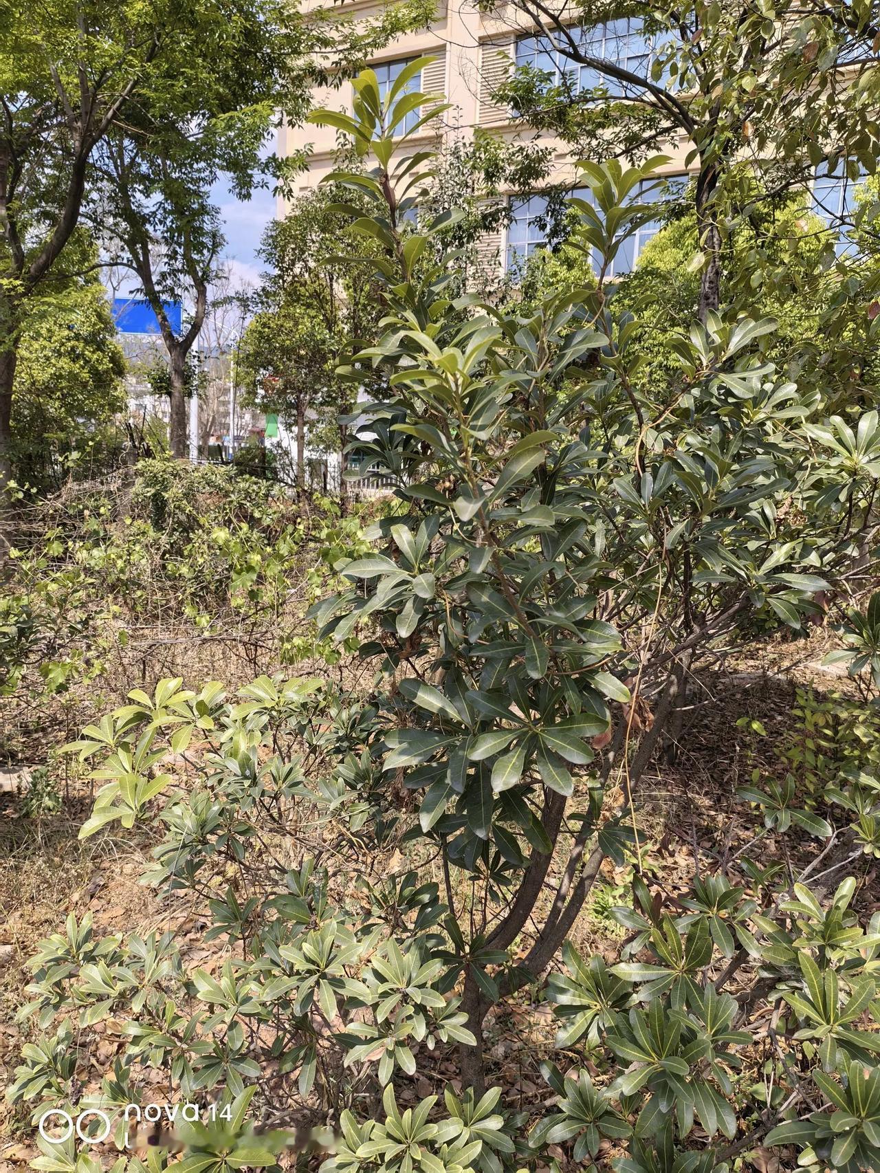 昆明周边的县城都是特别适合居住的地方，如果有适合的挣钱门路，真的是比昆明好在。