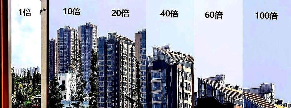 “别往前凑了，再凑花蕊就糊成油画。”上周在植物园，我亲眼看着一个姑娘用viv