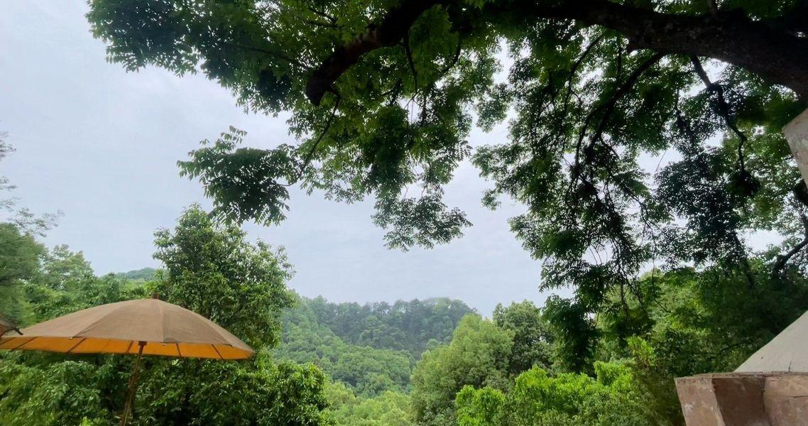 自驾去森林深呼吸森林度假之旅分享治愈系风景山觉行舍