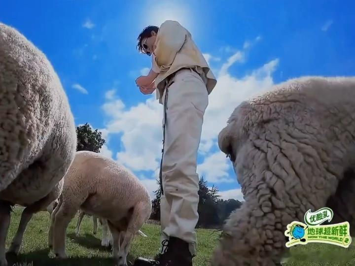 小羊视角这机位，《地球超新鲜》导演加鸡腿。刘宇宁那双腿从羊的高度往上看，直接从地