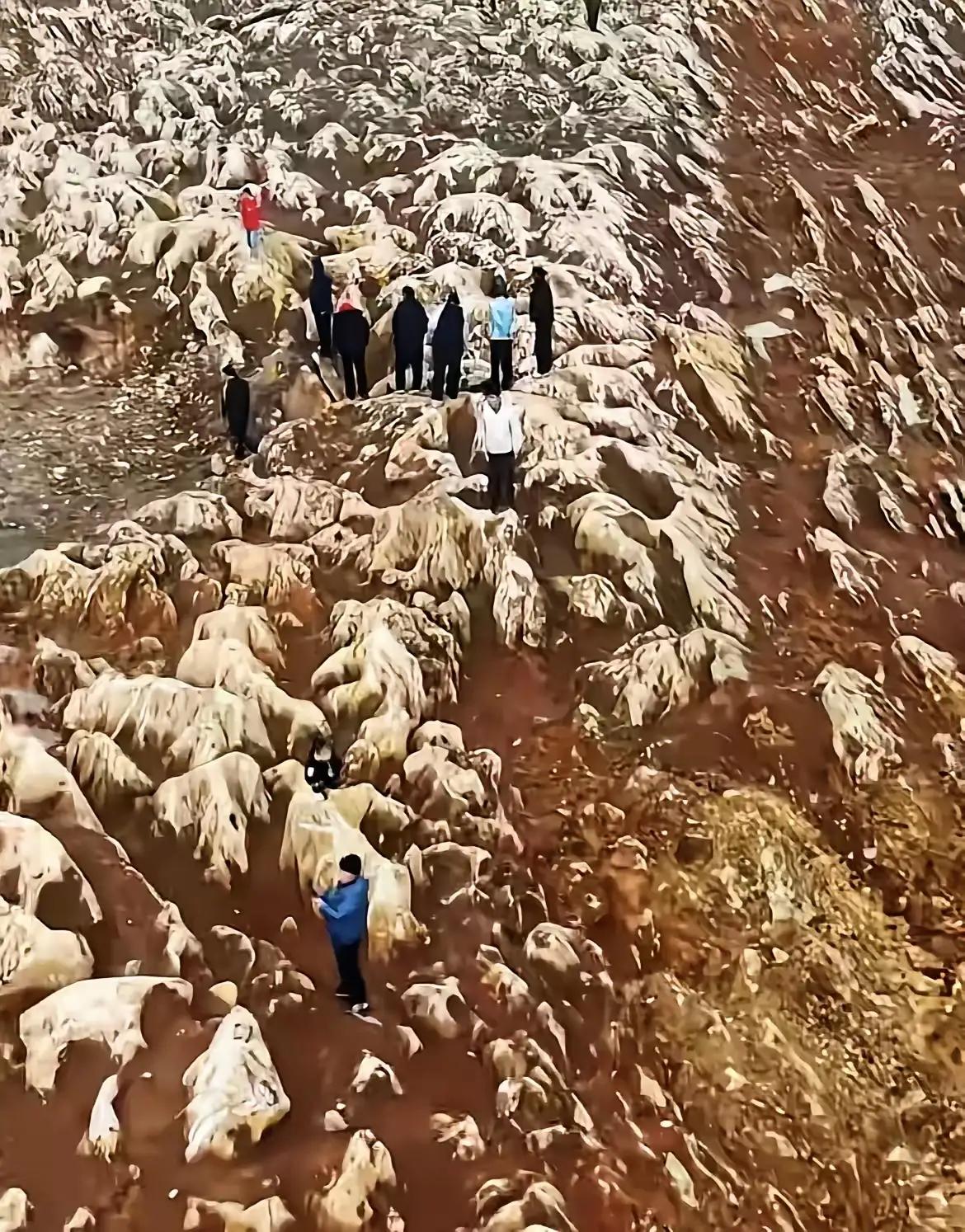 挖到“宝”了！山东宁阳，济枣高铁施工现场，挖出一片怪石，连绵上百米，经专家判定，