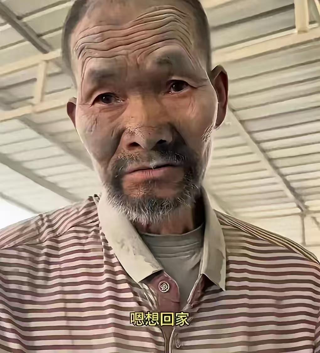 扛水泥的老人即便回了家，也不见得就是好事，有人给老人算了一笔账，在老板那