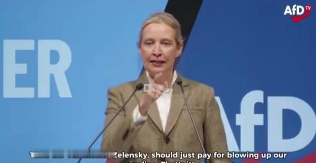 德国政坛炸了锅！1月25日，那位以敢说敢言的德国选择党女大佬爱丽丝·魏德尔，当着