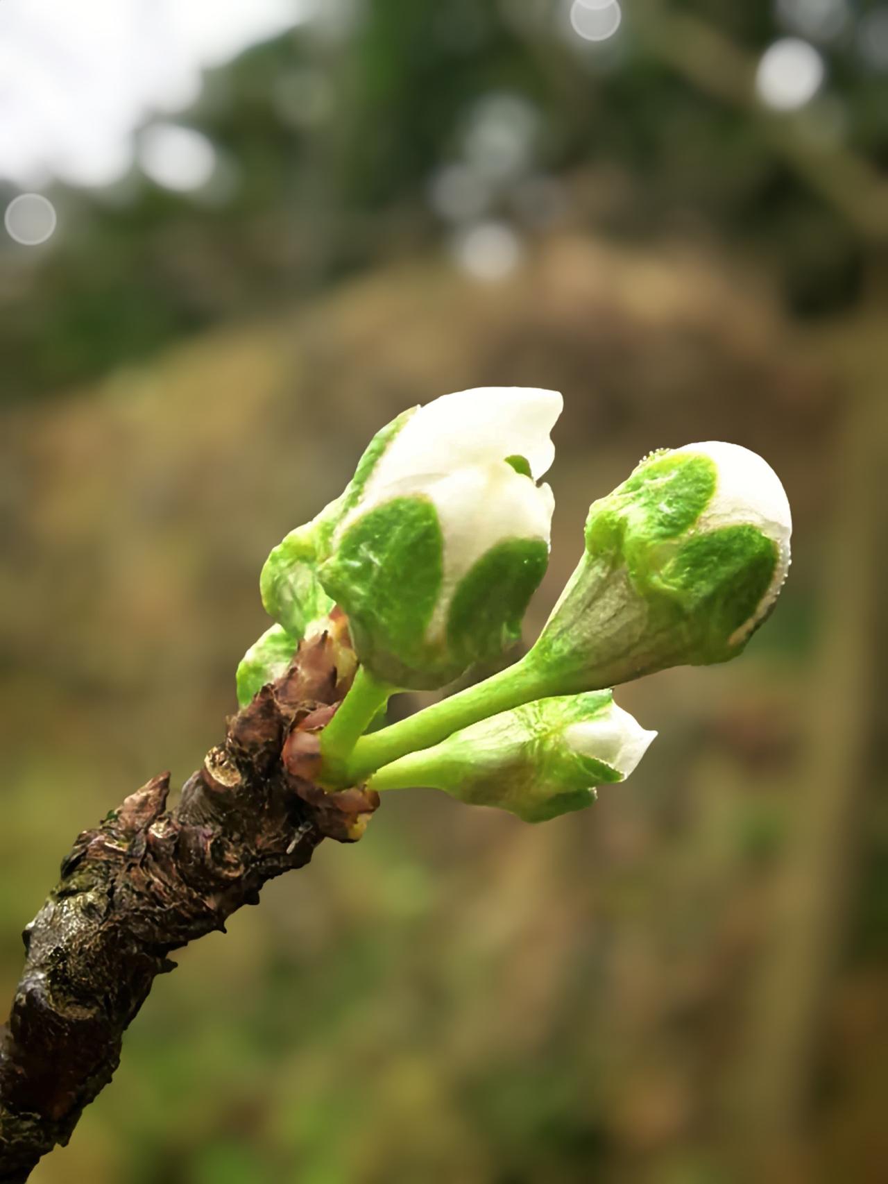 觉醒后，一定要明白：不要轻易渡人！不要强行渡人！不要与人纠缠！渡人需