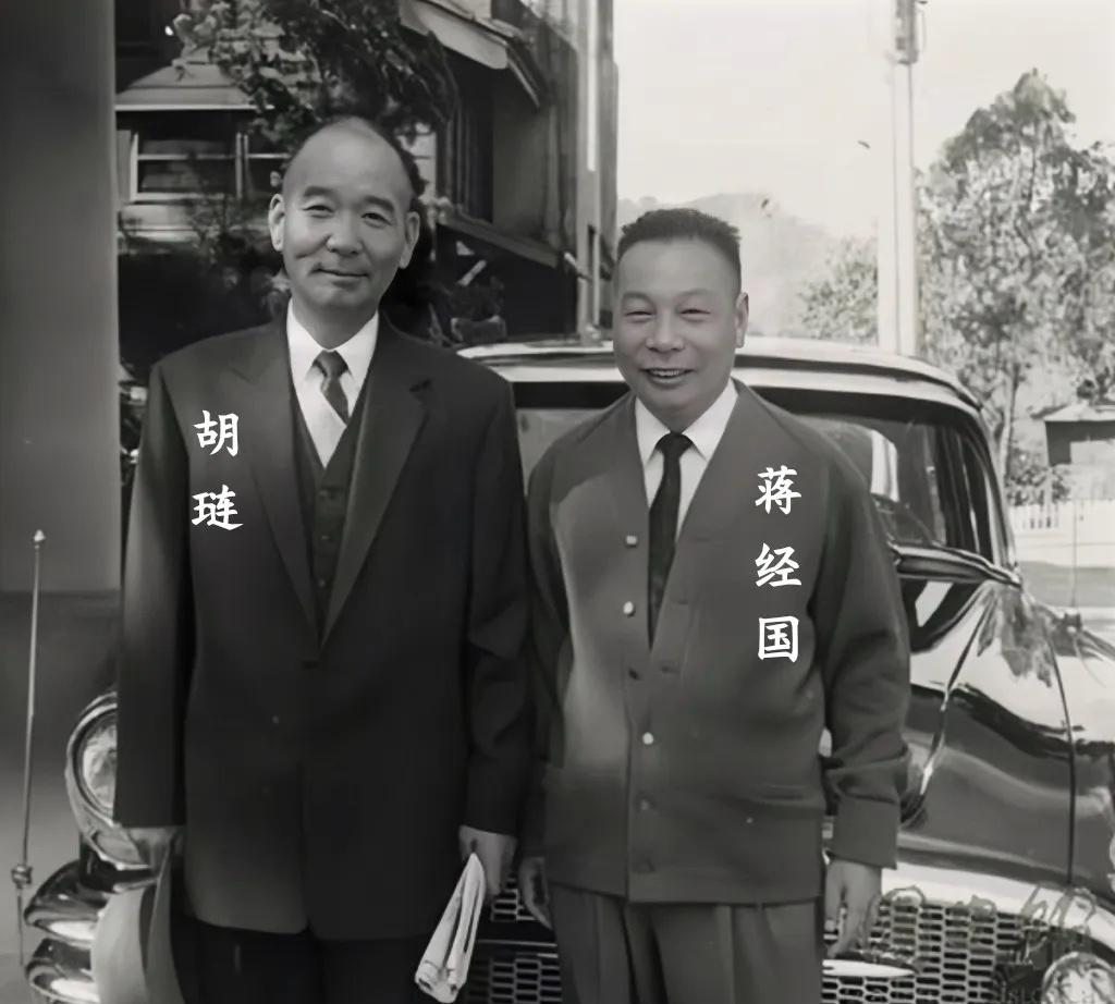 60年代，蒋经国和胡琏并肩站在一起的合影，两人脸上都带着微笑，看起来十分和谐，但