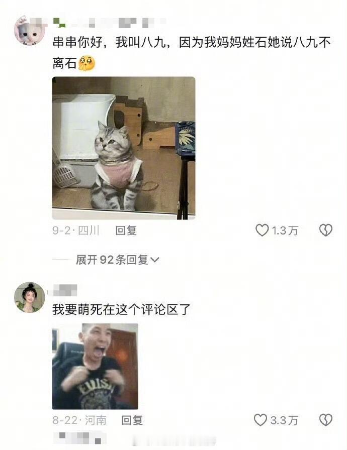 宠物名字背后的含义能有多萌​​​
