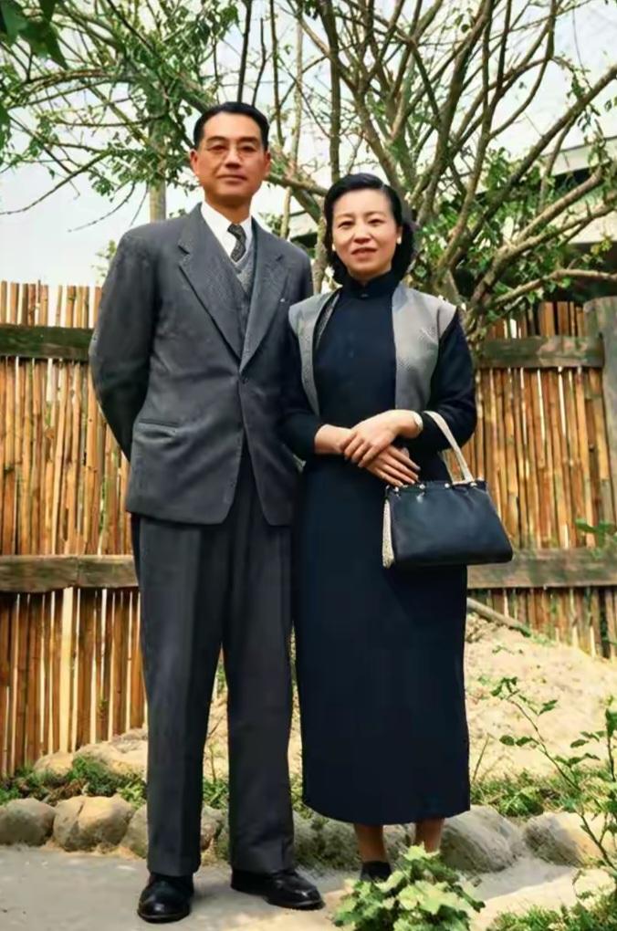 王铎：胡因梦的爸爸妈妈什么样？