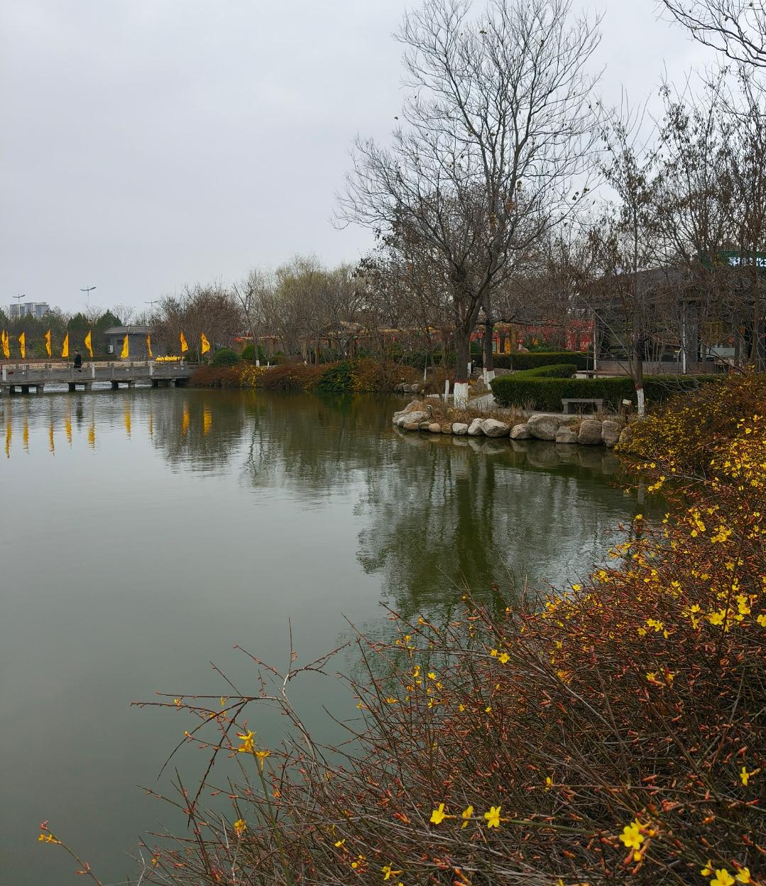 分享我这周有趣的事：我今年48才明白：养生就抓3件事，不花钱也管用我是霞