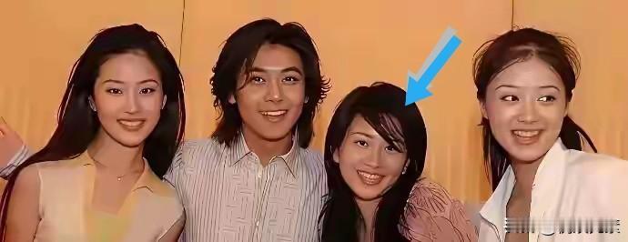 刘亦菲，林志颖，蒋欣，这几个明星早已大红大紫，第三个没见过，其实也蛮漂亮，