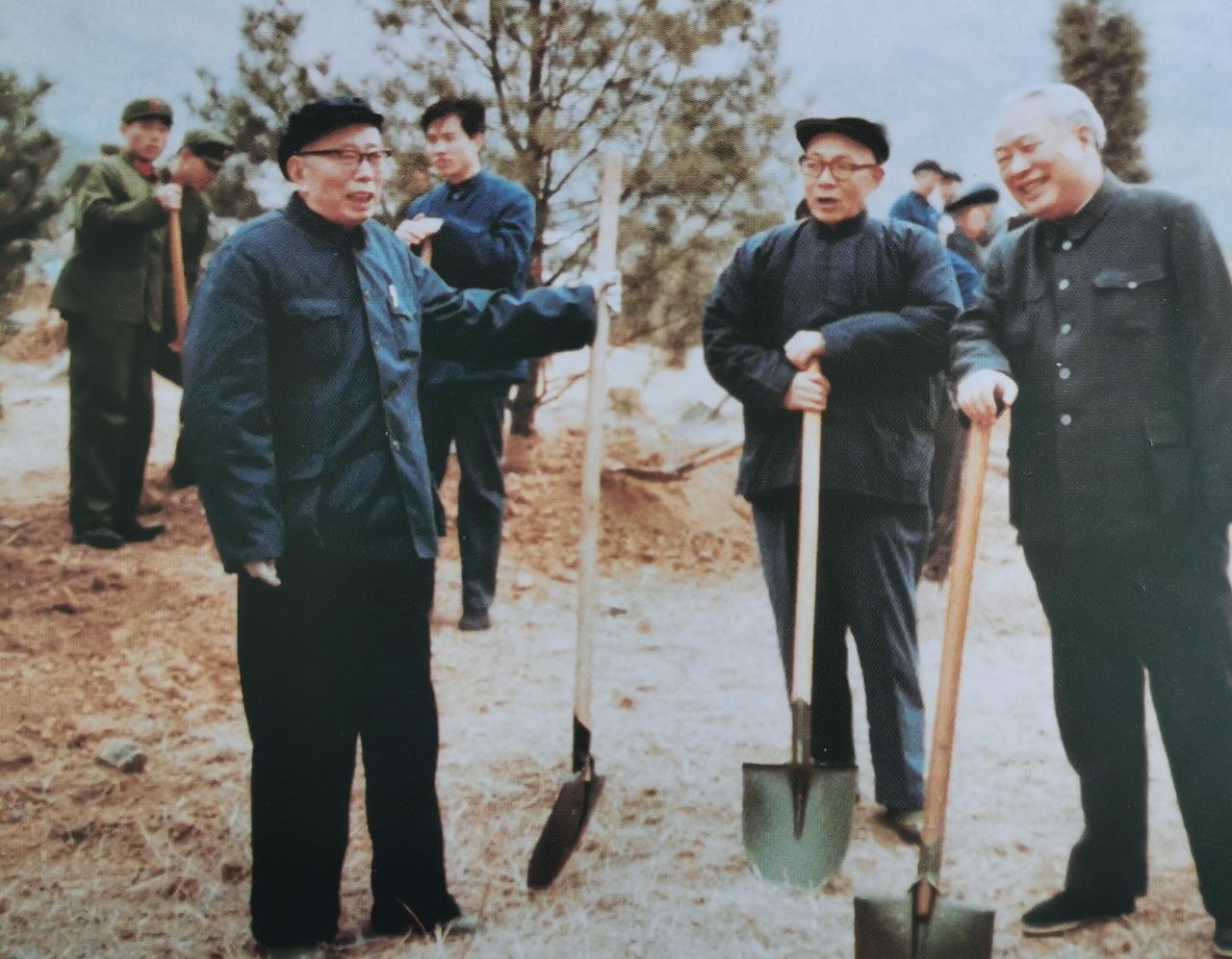 1983年3月12日，三位开国元勋一起到北京十三陵参加植树活动。左边是开国上将宋