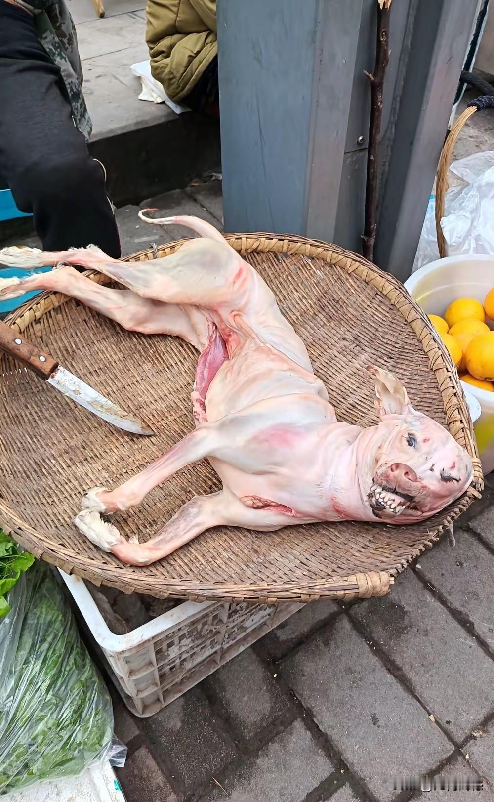 这么大个小狗，能出多少肉？可是有的人偏偏就喜欢吃这口，看着有点不是很理解！狗自从