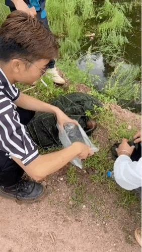 蛇：还好我水性不错，终于重见天日了[捂脸哭]