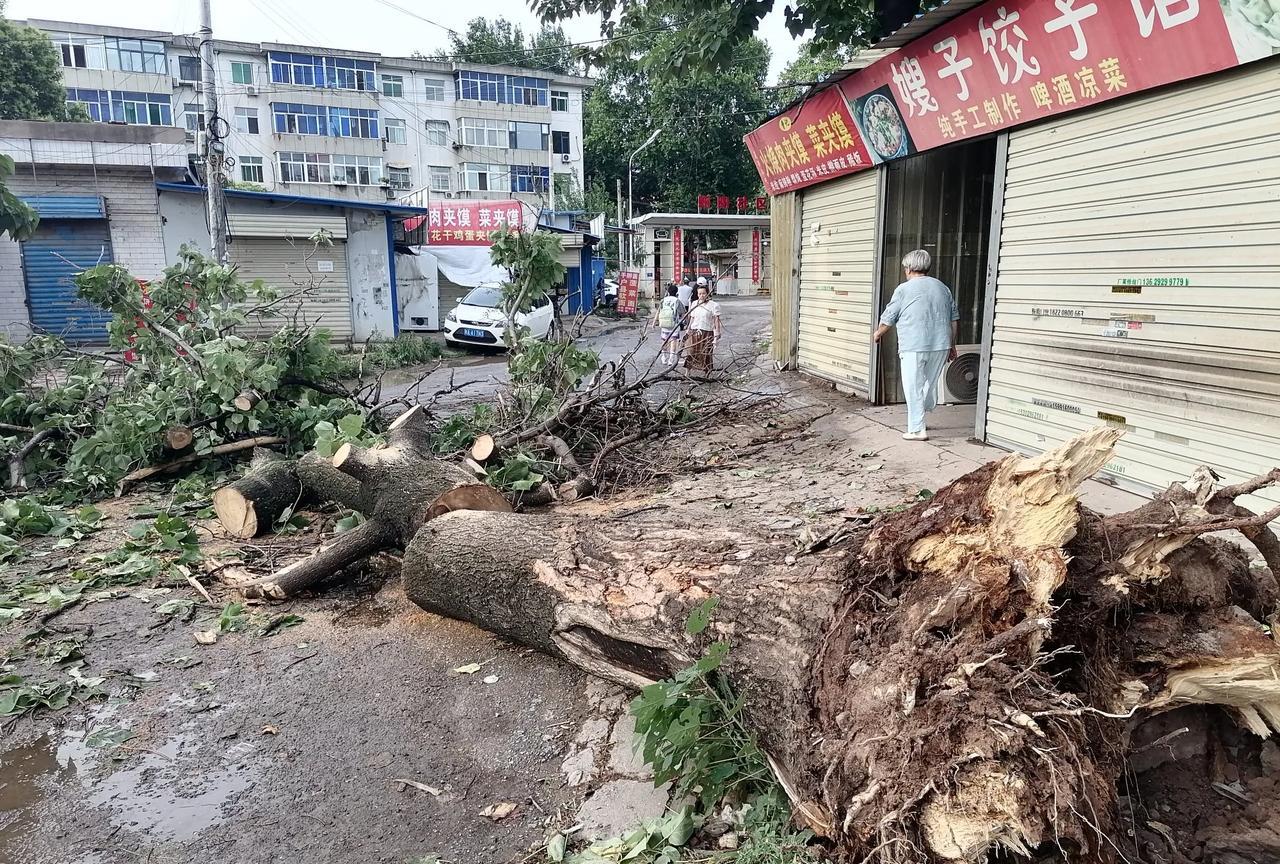 今日16时左右，西安城区突刮大风，约半小时后暴雨骤至。灞桥区朝阳社区门口直径约八