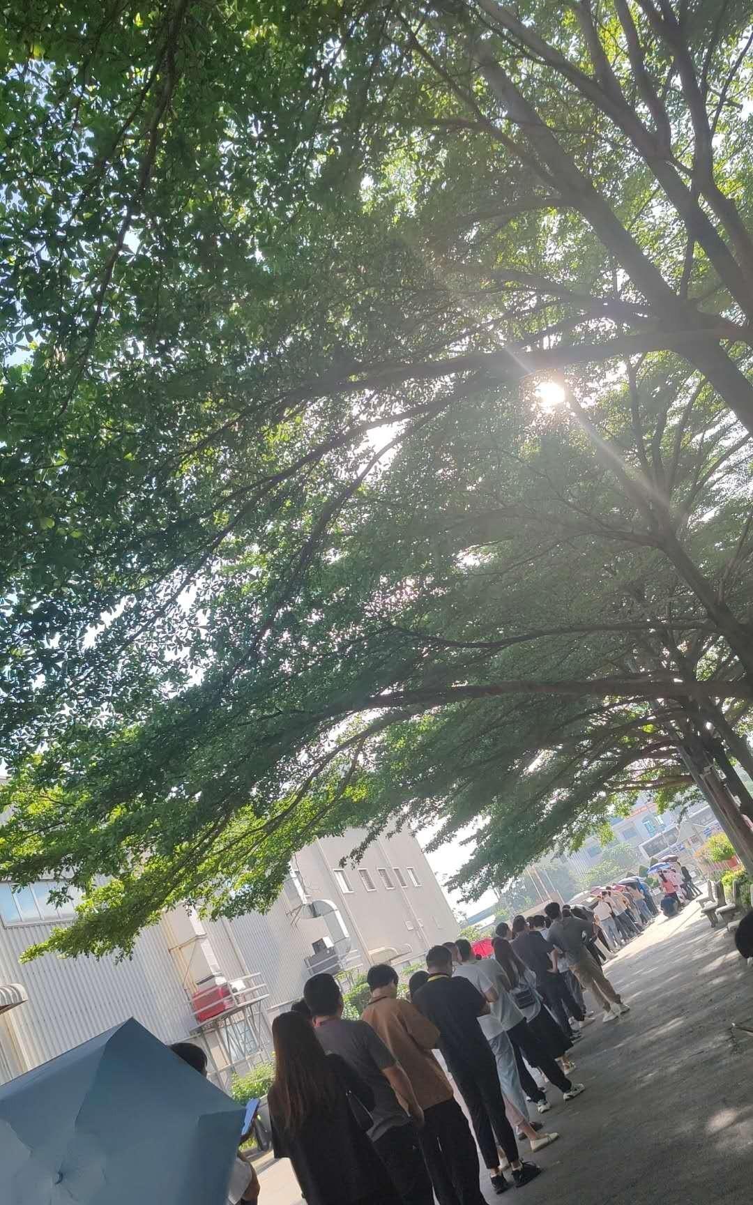交通瘫痪了。越南北江、北宁的交通堵塞状况堪称历史罕见。我的同事7点10分出门，