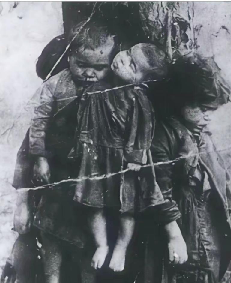 🌞1937年冬，南京沦陷。照片中，几名孩童被日寇用铁丝反绑，悬吊于枯树之上