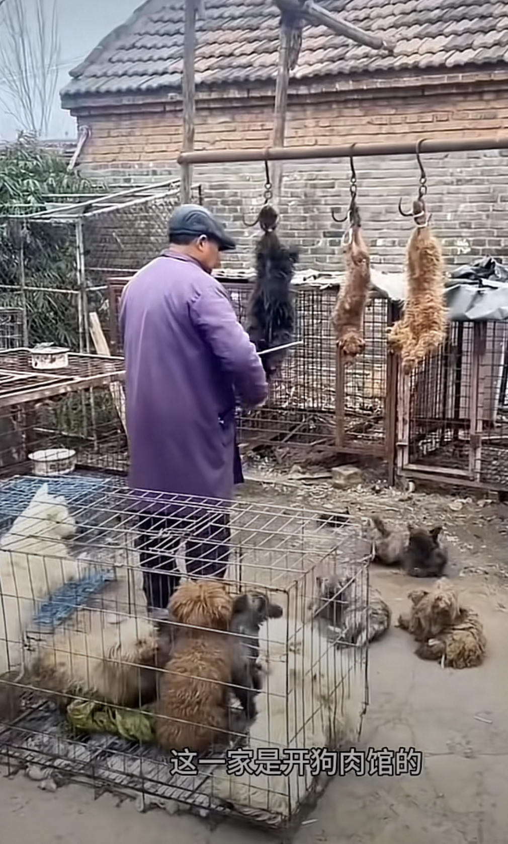 你这可积多大的福报啊，这下可还多少愿啊