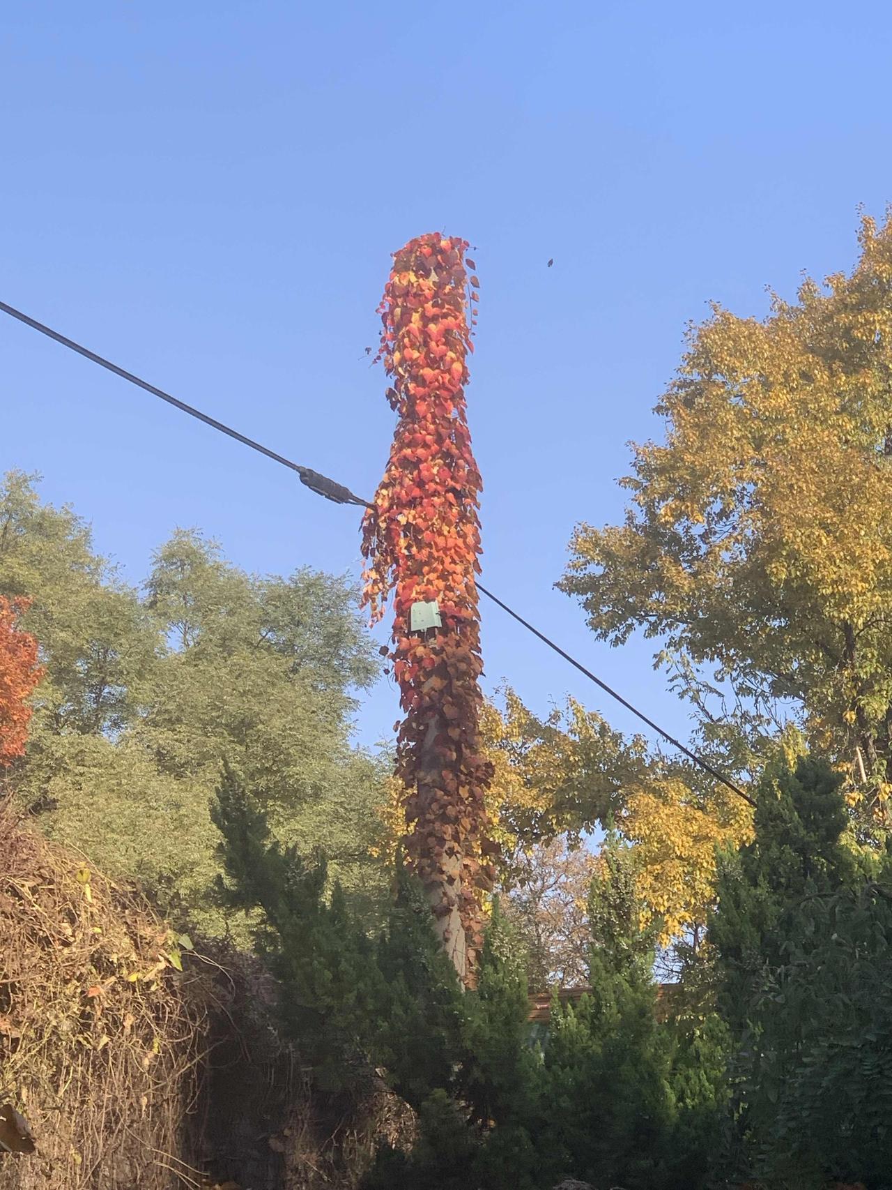 今天看到这样一句话，嫌发型丑的，一定是因为自己长得难看；嫌东西贵的，一定是因为兜