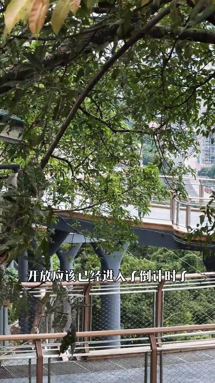 重庆悬崖栈道已装上闸机。重庆人翘首以盼的网红悬崖栈道安上闸机了，很遗憾，直到十