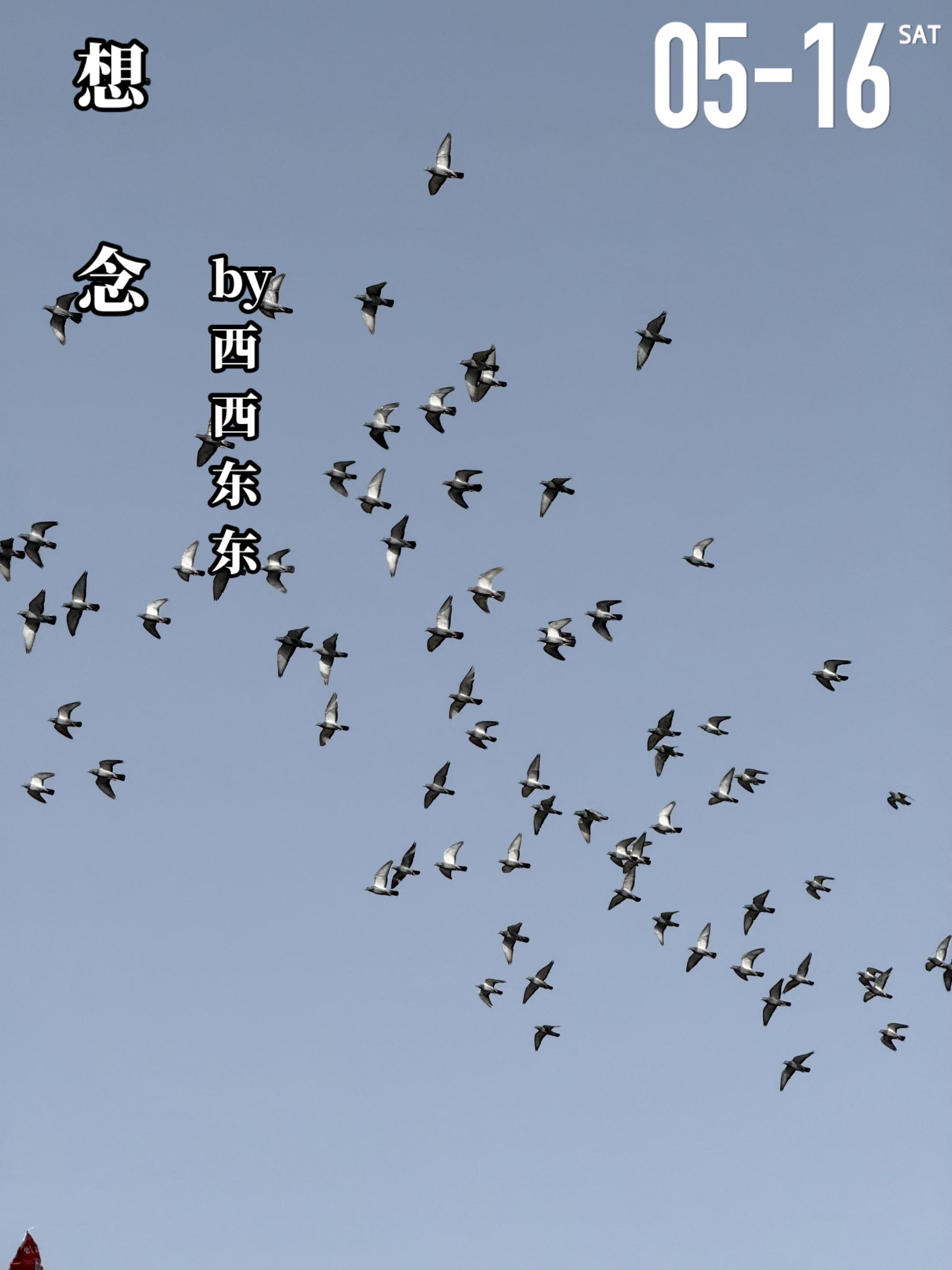 《想念》by西西东东。程熹微（女主）为了与男友在一起，毅然前往法国留学...