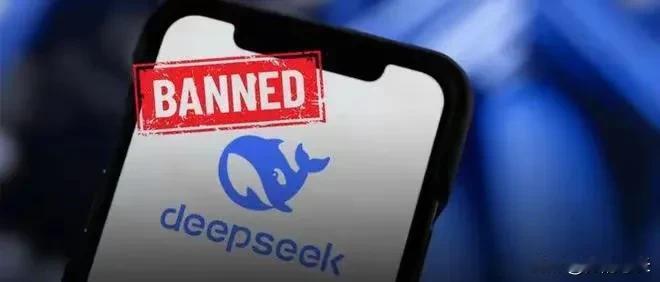 美国已经到了丧心病狂的地步了，为了封禁DeepSeek，都已经立法了，但凡下载使