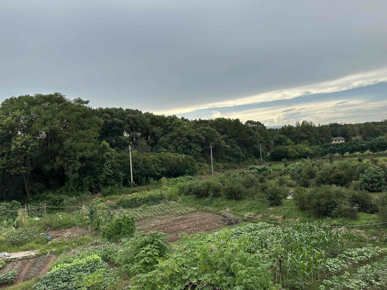 奇怪的种荷人城北有一个山坞，山坞里有一座山庄，山庄里有一方荷塘，荷塘里