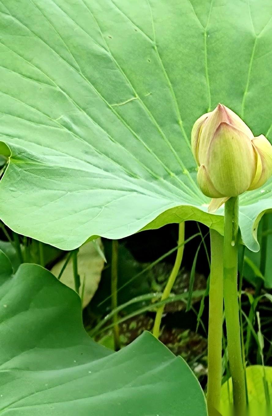 别笑话我，我家现在之所以能这么太平，靠的不是开家庭会议，也不是什么奖惩分明的规矩