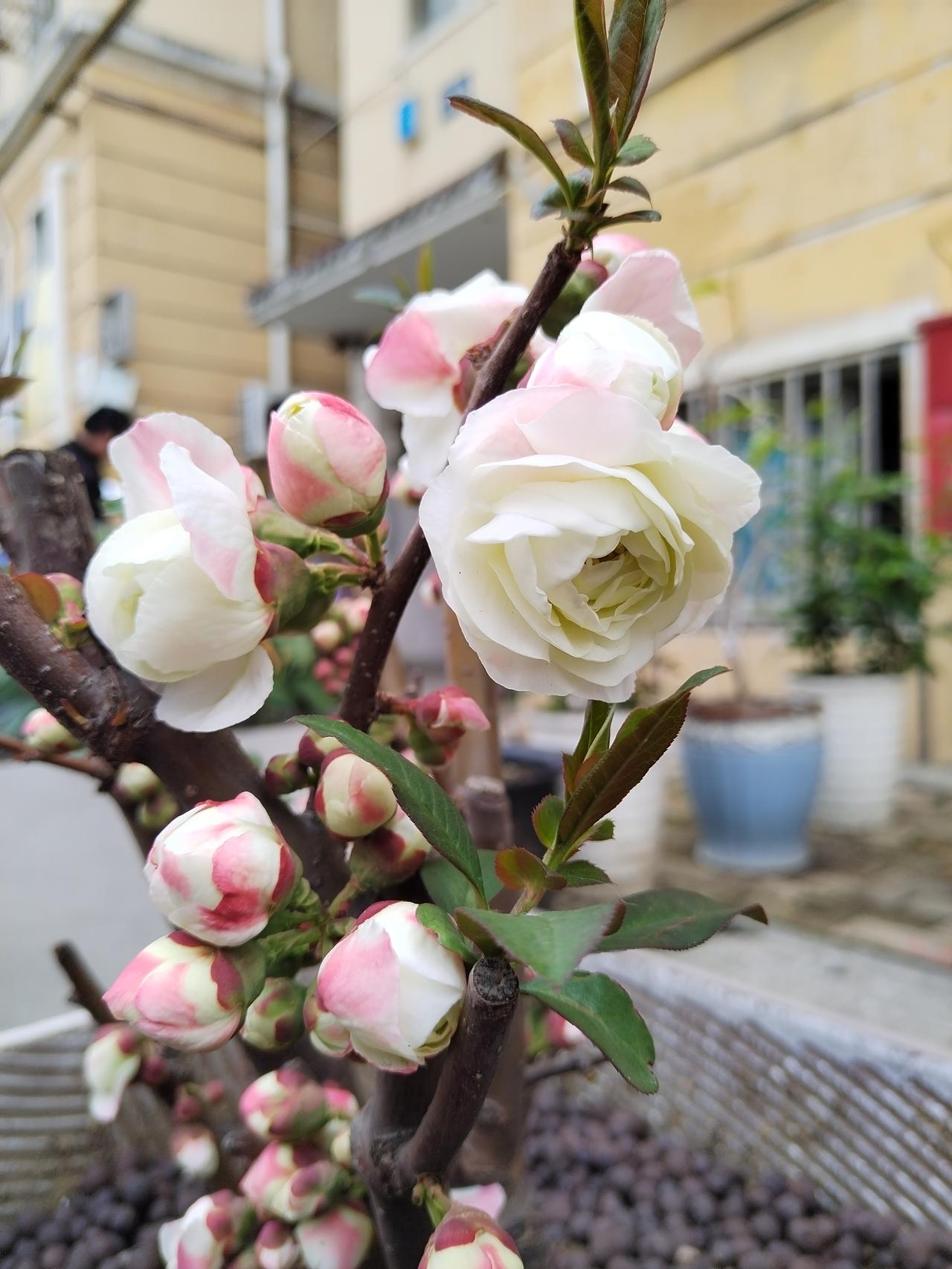 【趣联联趣】上联：乐水，浪走东西归大海下联：？【一字千金】《访春·其十》