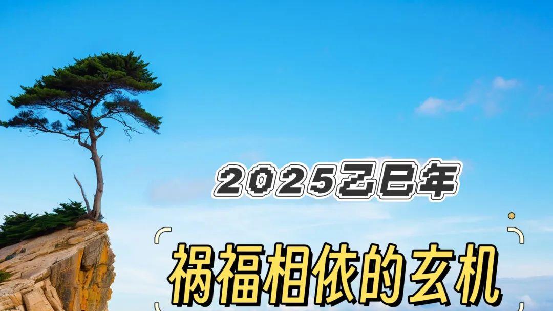 2025乙巳年, 祸福相依的玄机