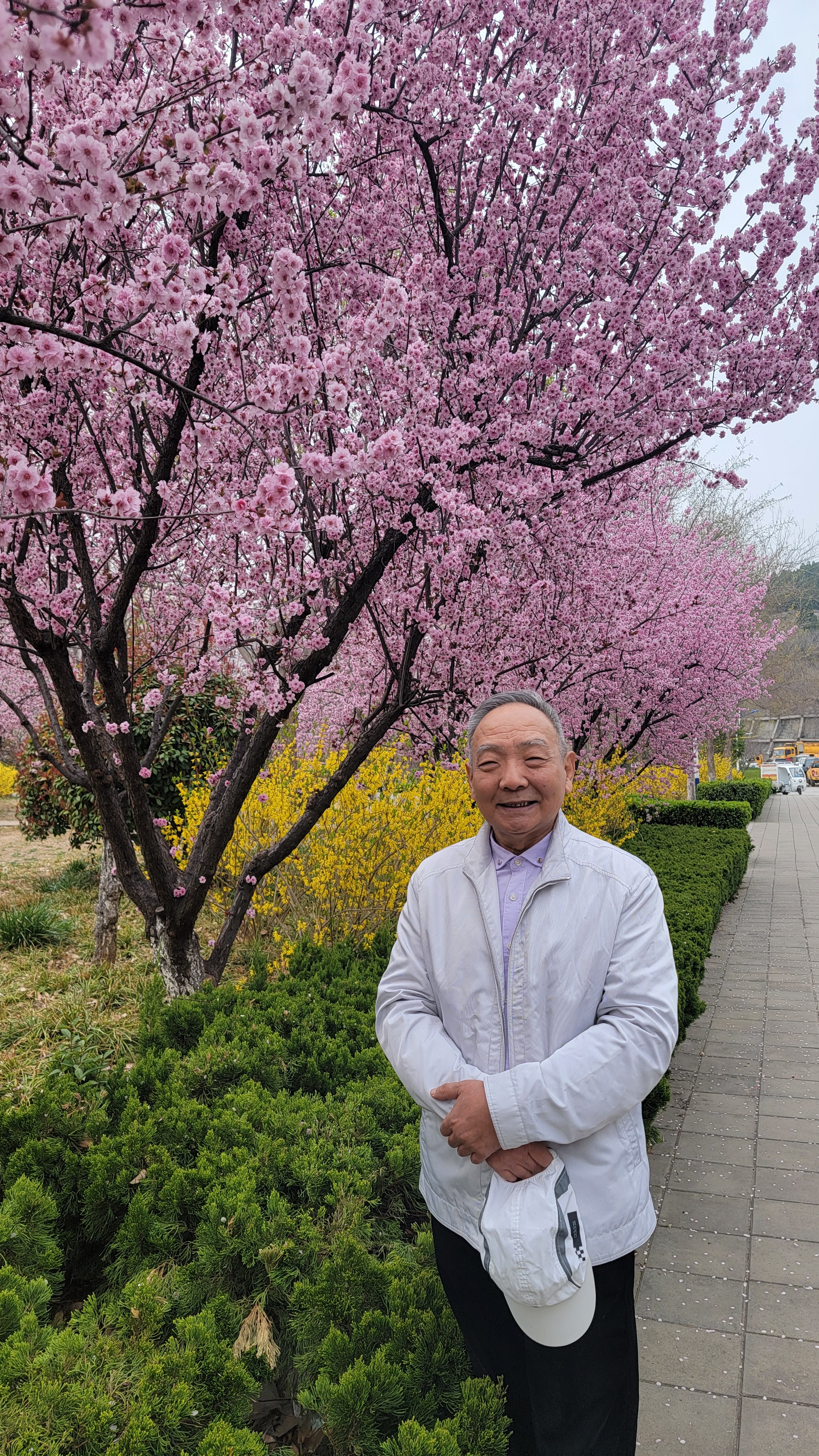 配一个经典、稳妥、偏强力的白术+附子扶阳祛湿方，思路来自张仲景真武汤核心结构，日
