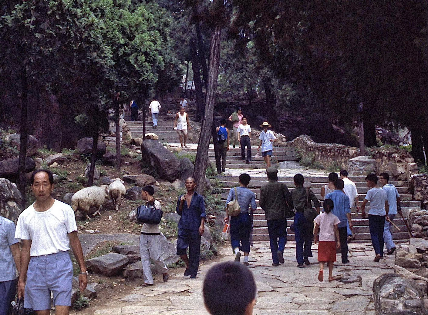 1983年的山东泰山​​​