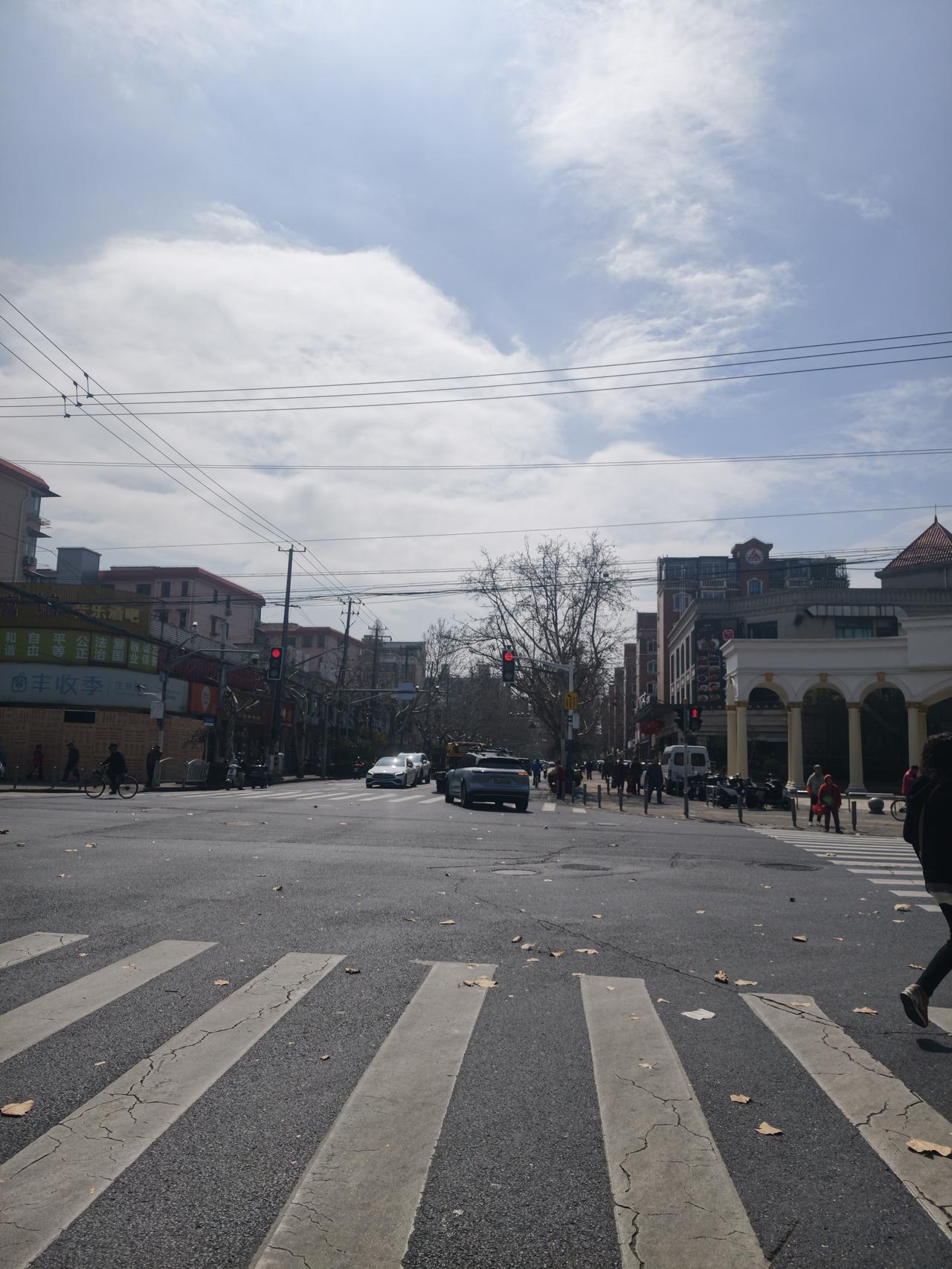 好好的树为，什么都把枝叶给剪光了，到了夏天这不得晒死人，这是为什么，会这样做这种