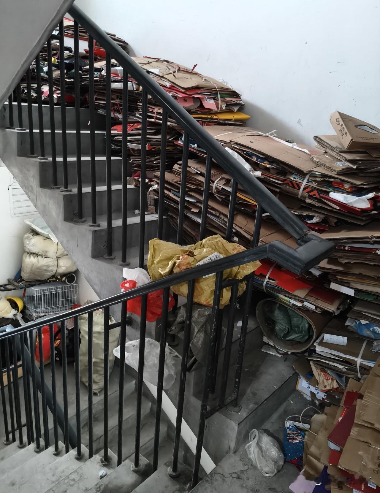 一大早邻居就跟物业吵翻天，大清早吵得人根本睡不成觉！出门一看才知道，原来是楼下