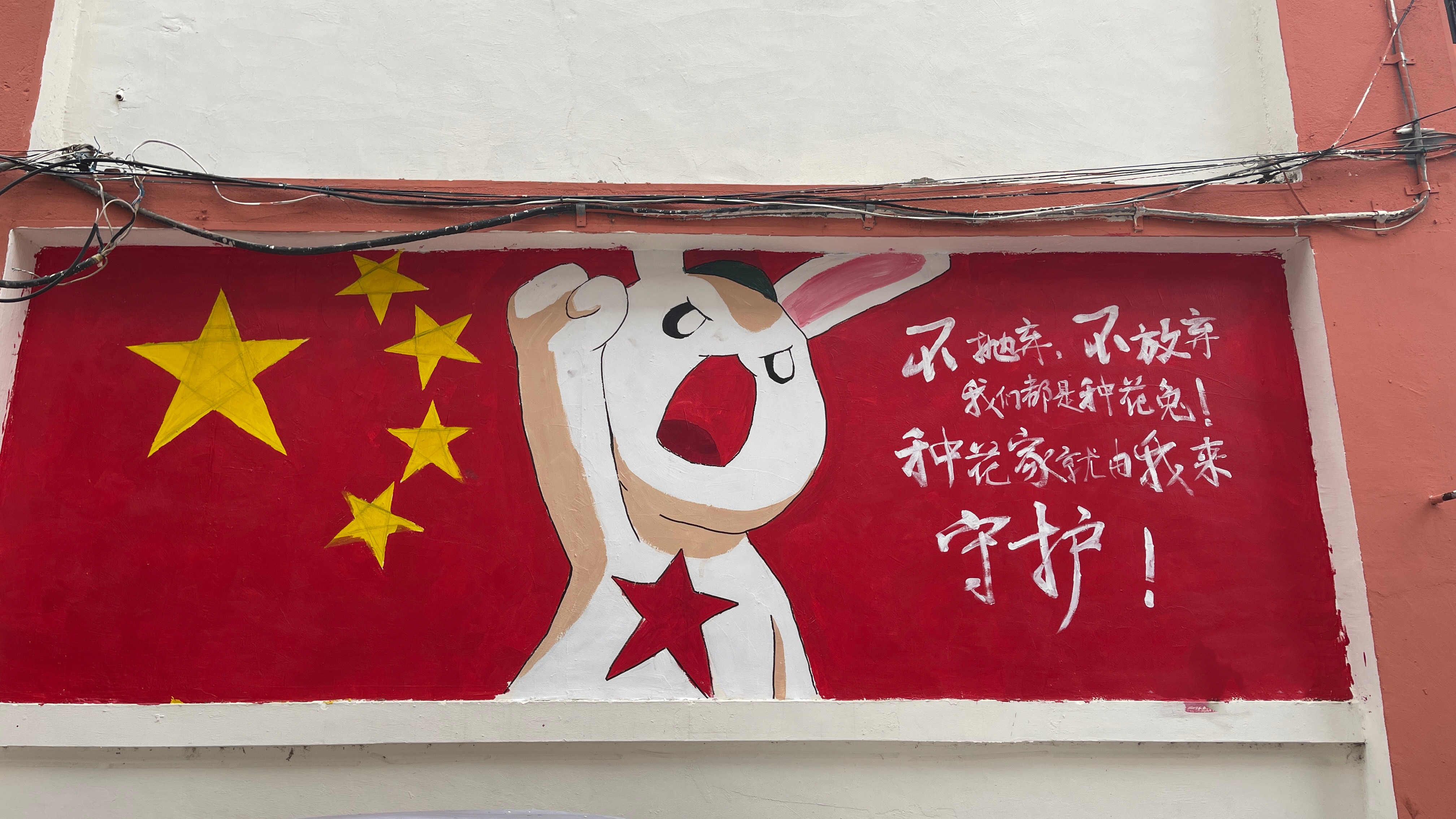 境外组织大力资助网红煽动躺平话不多说，就一句：国家安全，人人有责！