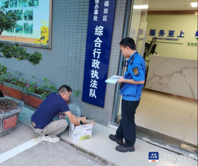 #深圳店主捡野生雏鸟私养半年被查#【半年“爱心收养”违法了！深圳一店主捡野生雏鸟